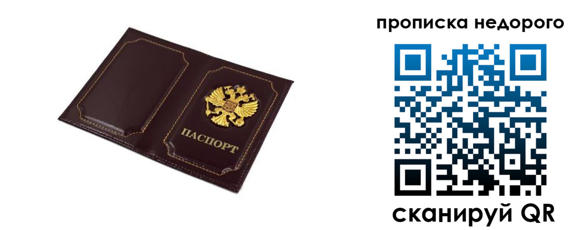 пропишу в квартире в Лыткарино